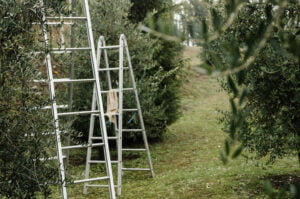 Read more about the article Drabina aluminiowa, jakiej firmy będzie idealna na deszcz, mróz i śnieg?